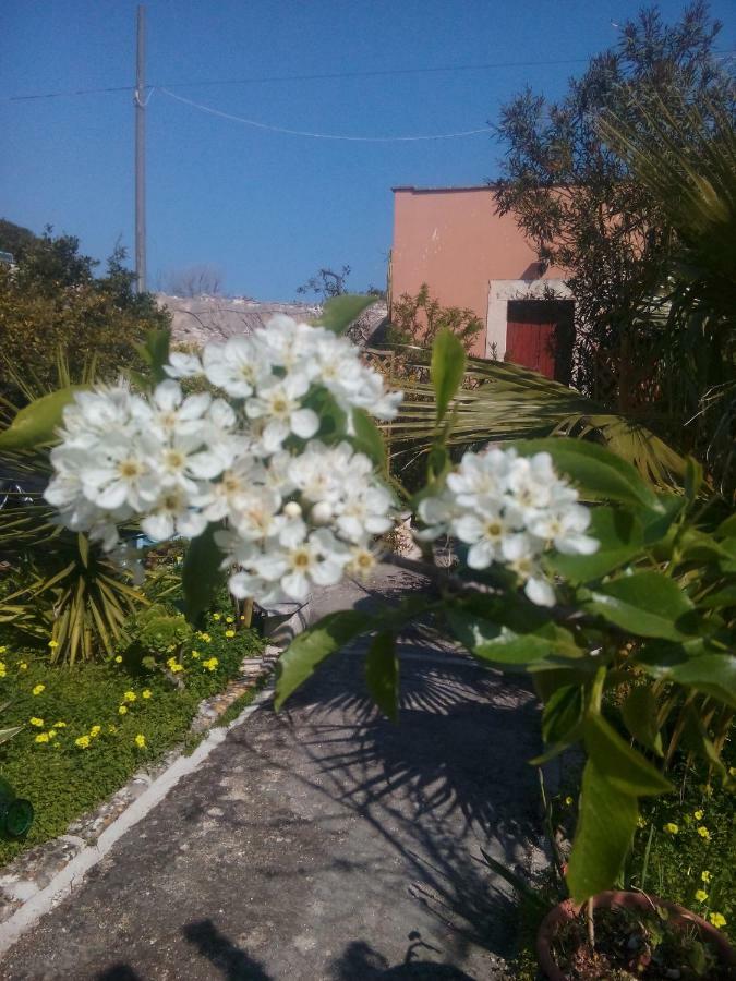 Villa Secret Garden Giovinazzo Exterior foto